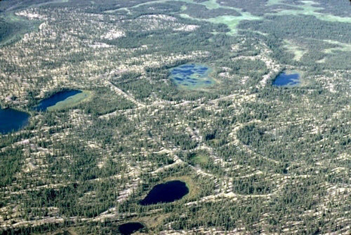 Figure 1: Northwestern Manitoba - This photograph shows an aerial view of gravel ridges on a flat terrain. Each ridge is about 3 metres high and 10 metres wide. These ridges are light colour. Around them, there are coniferous trees. There are several small lakes of different shapes.