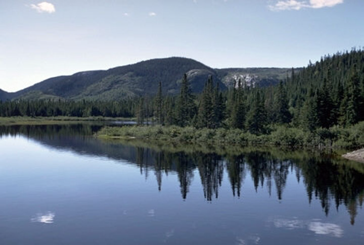 Figure 10: Walker Lake near Port-Cartier, Quebec - This photograph shows in the foreground, Boreal spruce forest surrounding a lake, and in the background there are rolling rounded hills covered with the same vegetation.