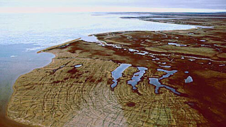 Figure 14: Prince Patrick Island, Northwest Territories - This photograph shows a coastline. On the beach, there are several ponds with different sizes and shapes. In the middle of the photo, from right to left, there is a river flowing into the ocean located on the left of the photograph. In the foreground, there are a series of lines like wrinkles on the skin.