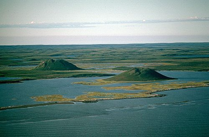 Figure 15: Tuktoyaktuk, Northwest Territories - This photograph shows a flat terrain with low vegetation, half covered by water. In the middle of the photo, along the coast, there are two pingos which are ice-cored mounds covered by soil. These features are about 40 metres in height. In the background of the photo, there are several ponds.