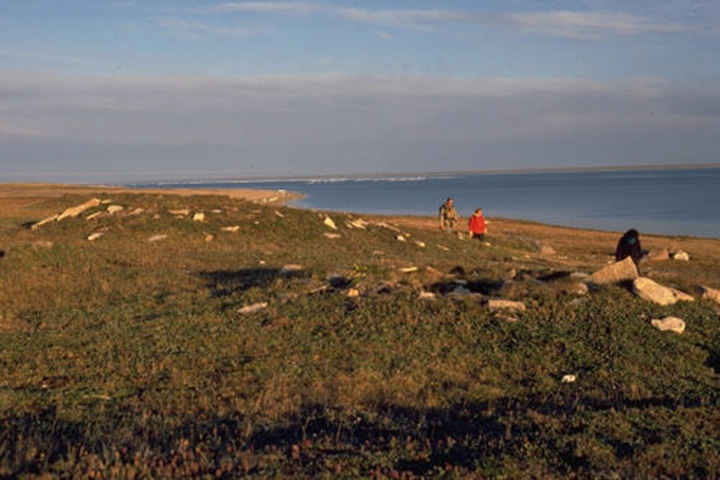 Figure 18: Igloolik Island, Nunavut - This photograph shows low mounds and a beach covered by shrubs and boulders. In the background, there is the ocean. On the beach, three persons are walking.