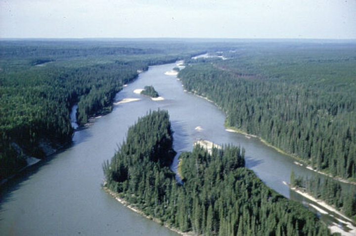 Figure 19: Athabasca River, Alberta - This photograph shows a flat landscape covered with conifer forest. There is a river with islands of different shapes and sizes in the middle.