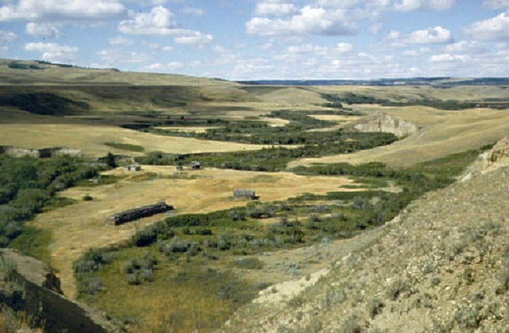 Figure 21: Valley of Battle Creek, Saskatchewan - This photograph shows a valley covered with grass and with vegetation of brush and small trees confined to a narrow strip along a winding creek. There is a farm in the foreground and in the distant background, there is the wooded crest. On the left of this valley, there is a bench that leads up to a plateau.