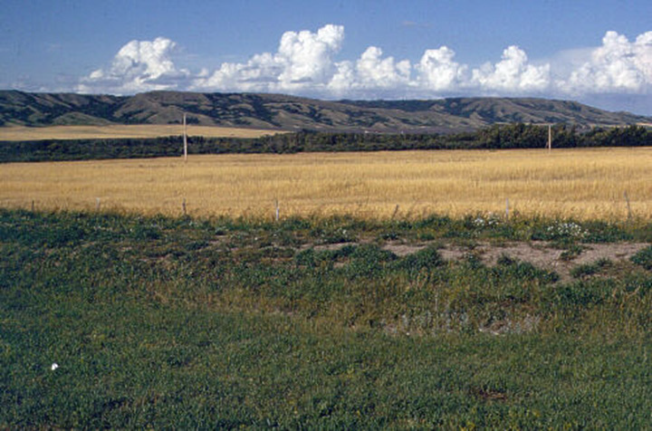 Figure 22: Qu' Appelle Valley, Saskatchewan - This photograph shows a wide valley covered with a succession of different kind of vegetation: green shrubs, yellow grass, trees, and yellow grass again. In the background, there are rounded top hills. The width of the valley averages 2.5 kilometres, and its depth is about 120 metres.