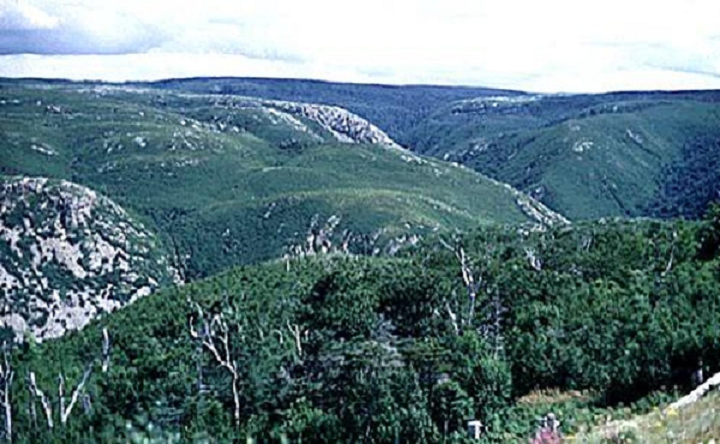 Figure 29: Cape Breton Island, Nova Scotia - This photograph shows a succession of flat rolling hills covered with trees and with some bare rocks. These hills are incised by a branching network of deep river gorges.
