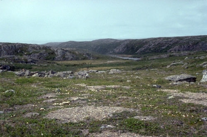 Figure 3: Lac de Gras, Northwest Territories - This photograph shows in the foreground a flat landscape covered by low shrubs and grass and also with boulders with sharp edges. In the background, there are two low plateaus covered with rocks and the same vegetation than the one covering the lower part of the terrain. There is a river flowing between the two plateaus.