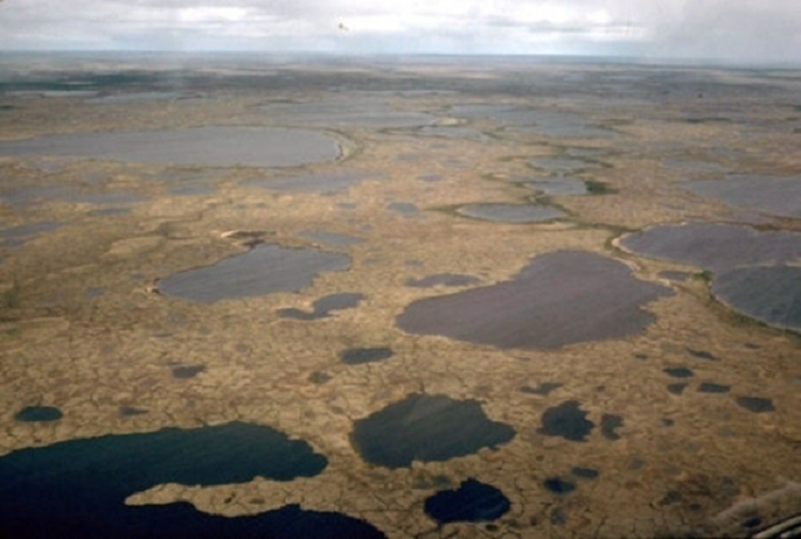 Figure 6: Hudson Bay Lowland, Manitoba - This photograph shows a flat terrain with several lakes of different shapes and sizes. There is no a tree or shrubs. On the land there is a network of lines forming polygons of irregular shapes.
