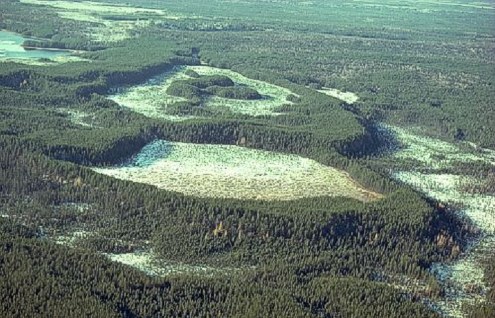 Figure 9: Rapide-Sept area, Quebec - This photograph shows a flat landscape covered by trees. In the middle of the photograph, there are large sand dunes without vegetation.